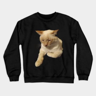 Blondie the cat Crewneck Sweatshirt